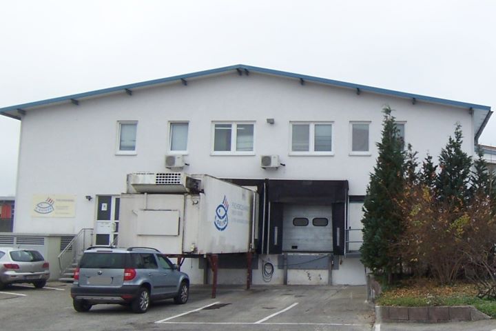 fisch